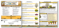 The Bee Beacon Pollinator Plots USDA Zone 4 - Full Sun
