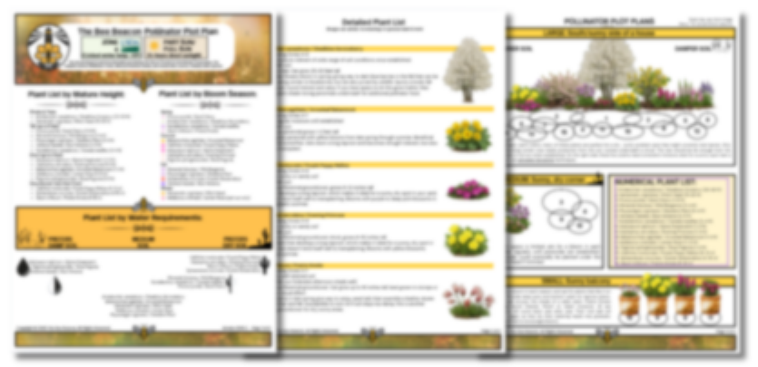 The Bee Beacon Pollinator Plots USDA Zone 4 - Full Sun