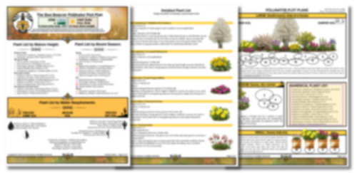 The Bee Beacon Pollinator Plots - Zone 4 Bundle: Shade and Sun