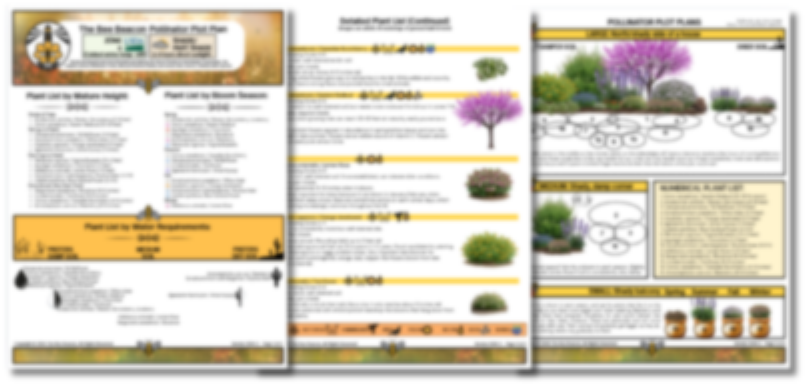 The Bee Beacon Pollinator Plots - Zone 4 Bundle: Shade and Sun
