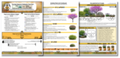The Bee Beacon Pollinator Plots - Zone 4 Bundle: Shade and Sun