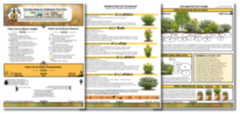 The Bee Beacon Pollinator Plots - Zone 5 Bundle: Shade and Sun