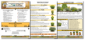 The Bee Beacon Pollinator Plots - Zone 5 Bundle: Shade and Sun