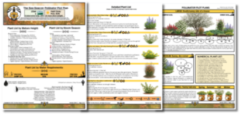 The Bee Beacon Pollinator Plots - Zone 5 Bundle: Shade and Sun