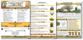 The Bee Beacon Pollinator Plots USDA Zone 5 - Full Sun