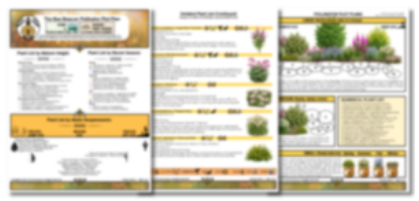The Bee Beacon Pollinator Plots - Zone 6 Bundle: Shade and Sun