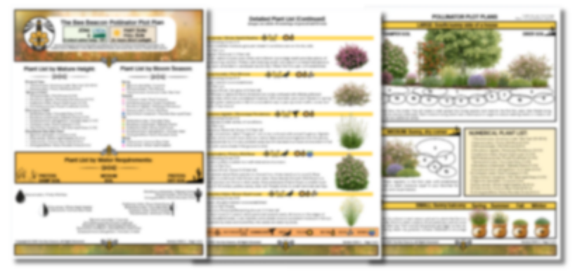 The Bee Beacon Pollinator Plots - Zone 6 Bundle: Shade and Sun