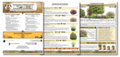 The Bee Beacon Pollinator Plots USDA Zone 6 - Full Sun