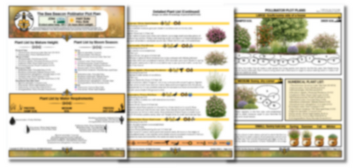 The Bee Beacon Pollinator Plots - Zone 6 Bundle: Shade and Sun